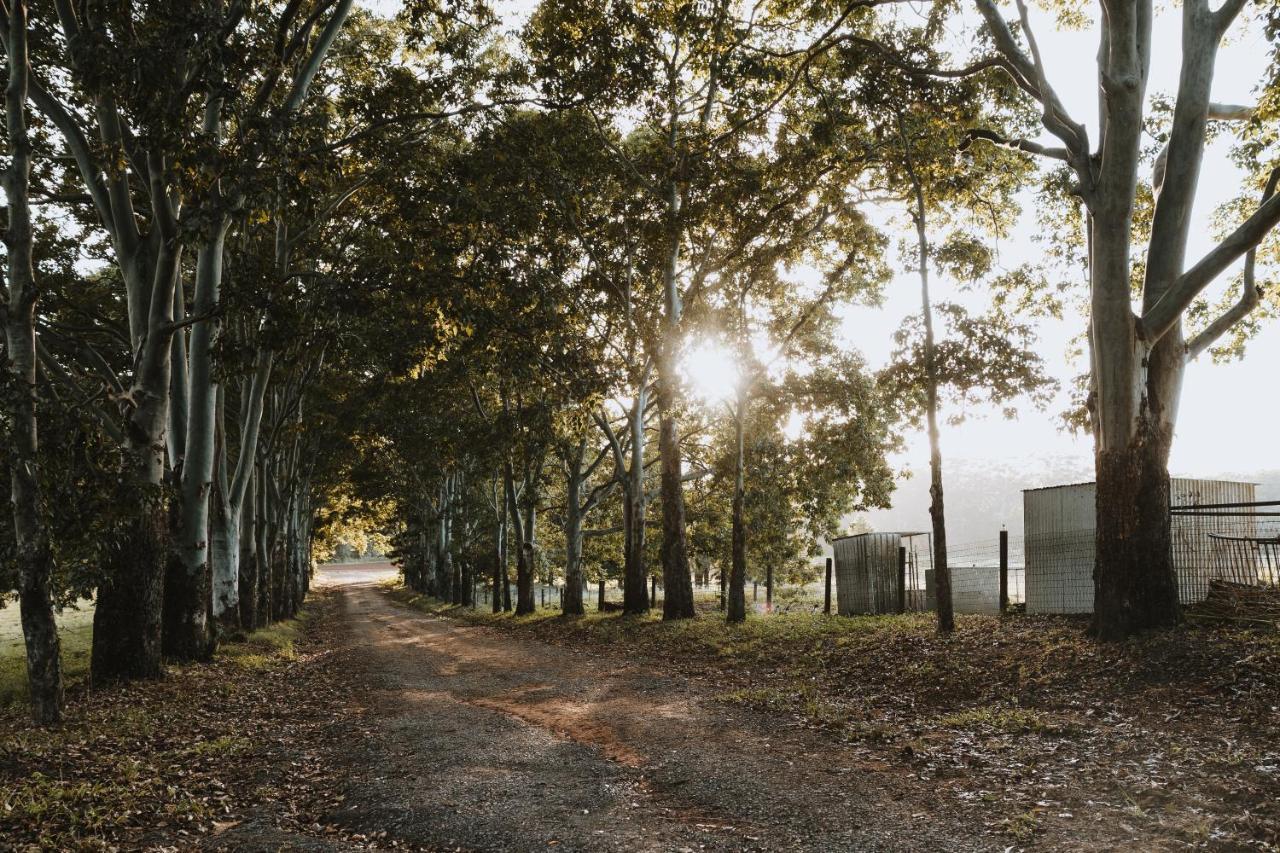 Blackwattle Farm Beerwah Luaran gambar