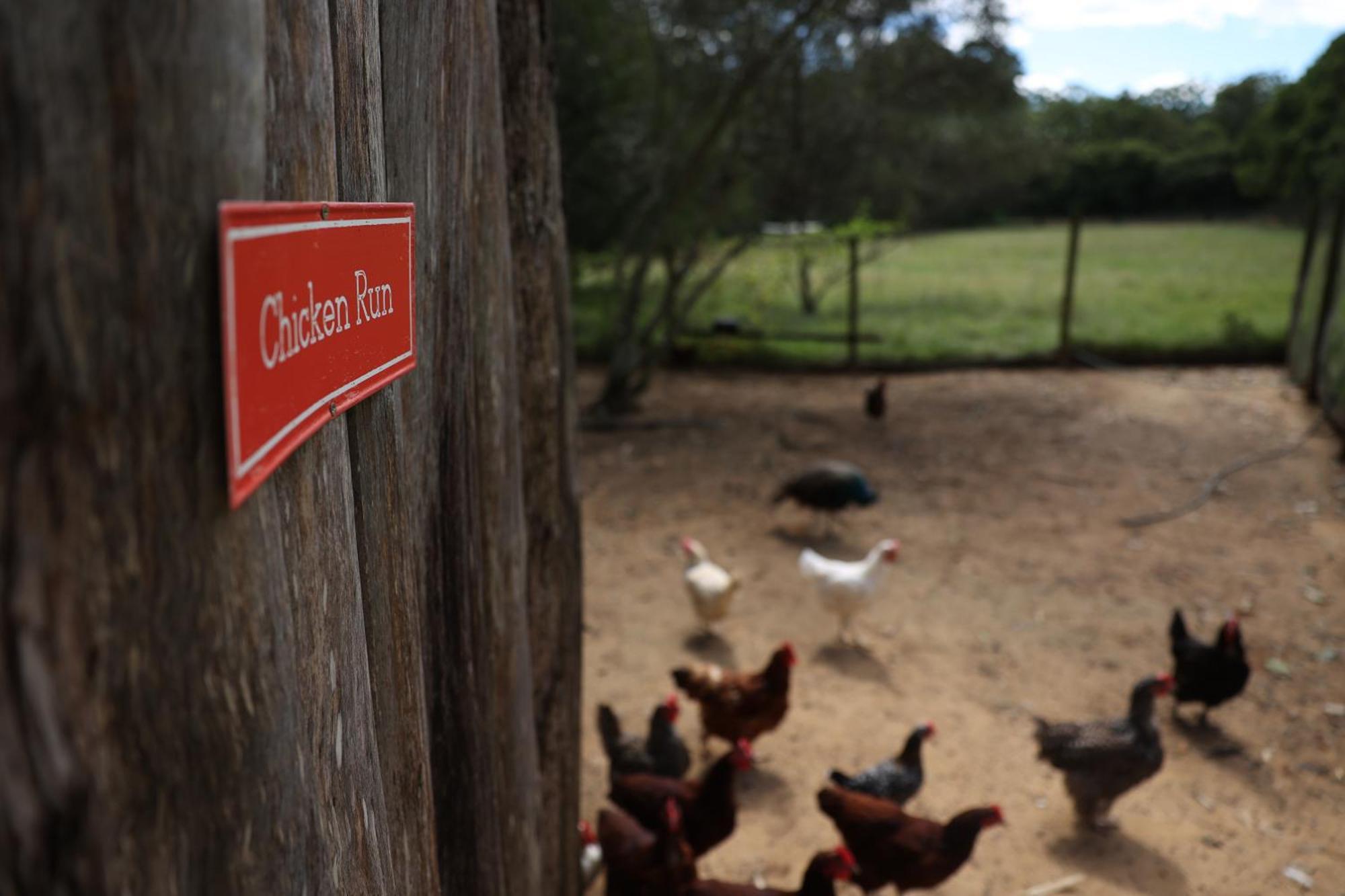 Blackwattle Farm Beerwah Luaran gambar