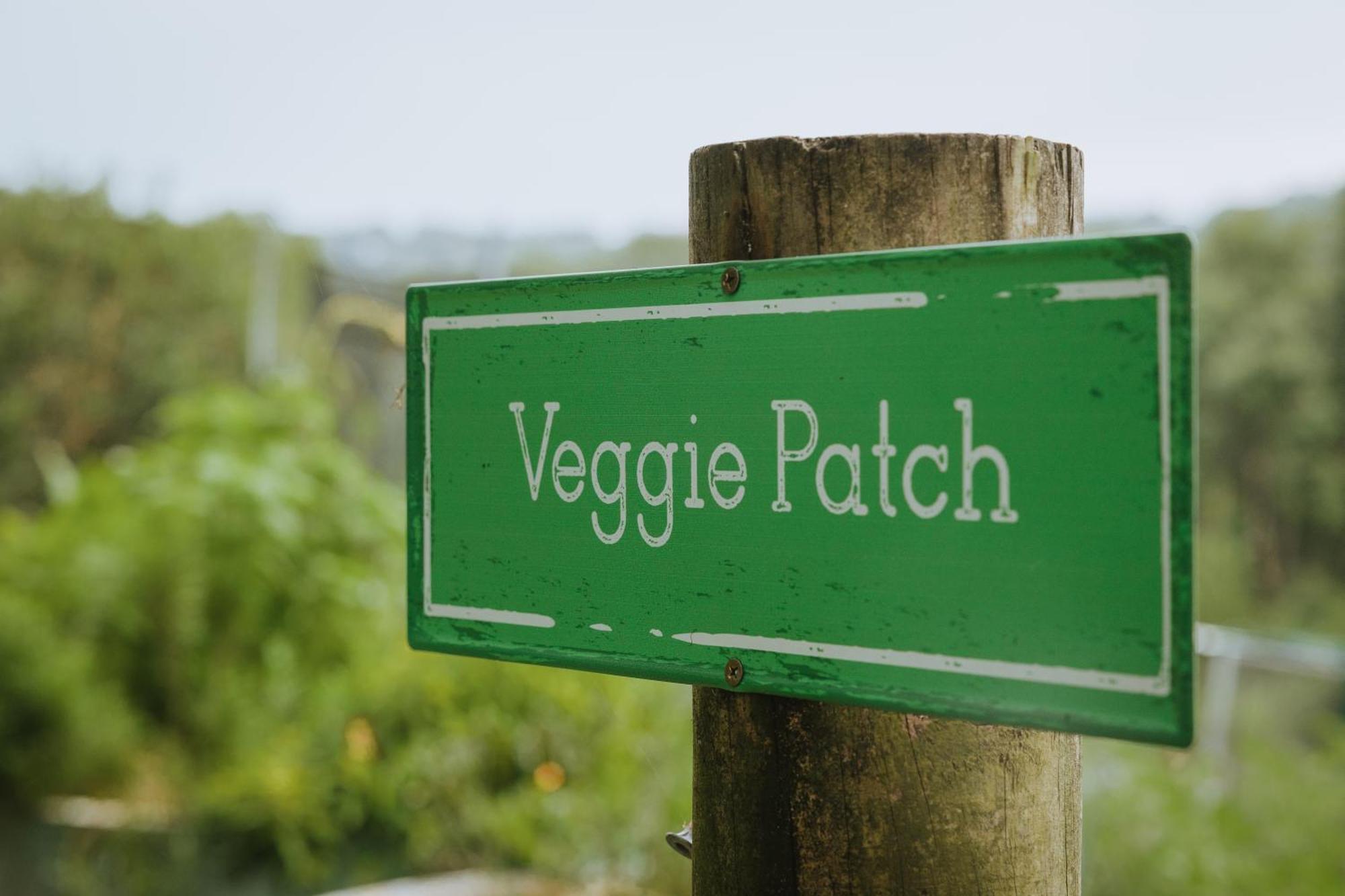 Blackwattle Farm Beerwah Luaran gambar