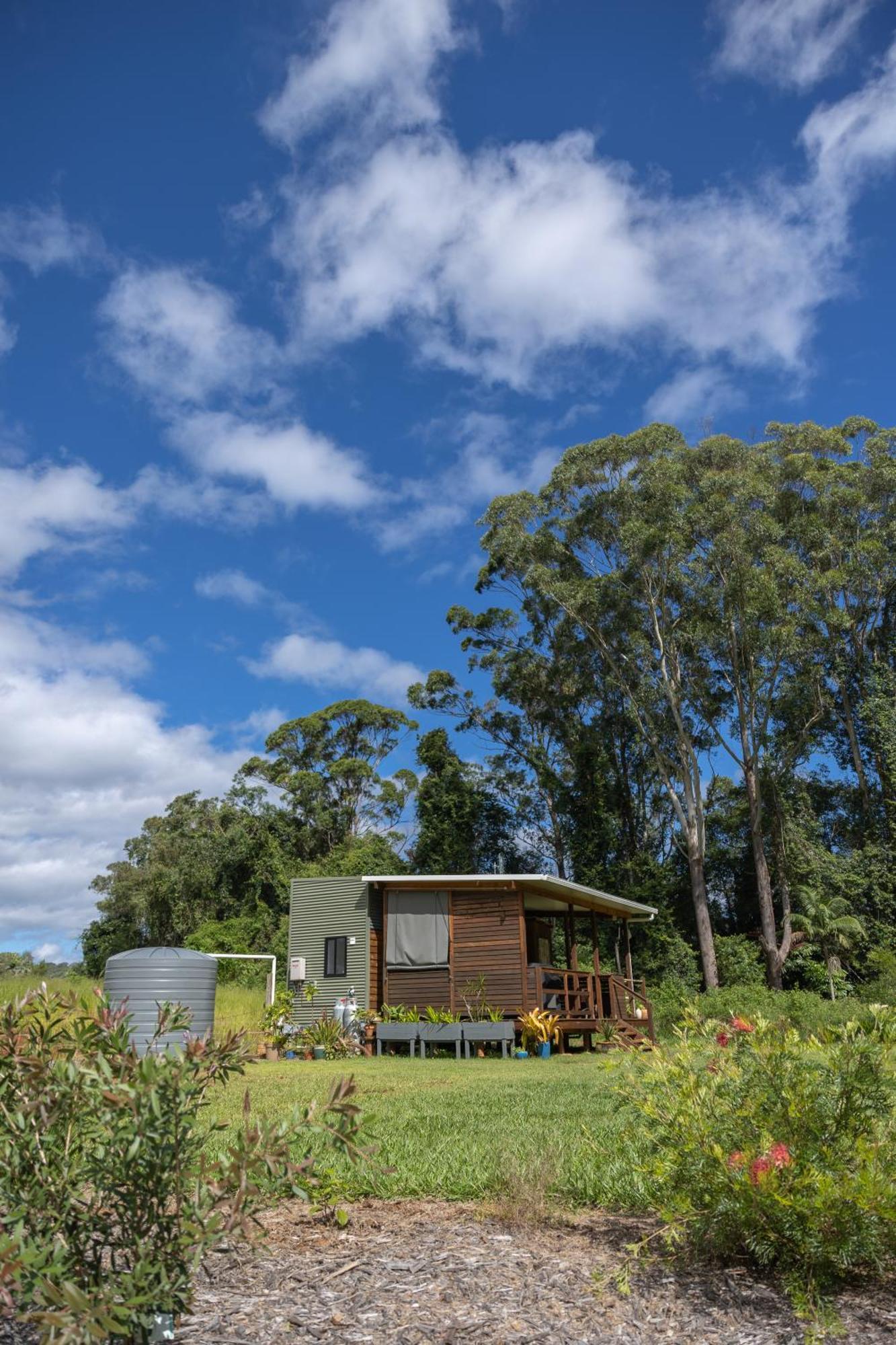 Blackwattle Farm Beerwah Bilik gambar