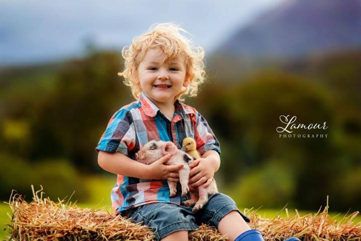 Blackwattle Farm Beerwah Luaran gambar